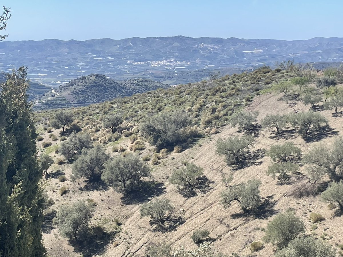 LisaByrnes7's tweet photo. Pease and quiet of the mountains. Can’t beat it https://t.co/8w2IMWH6NL