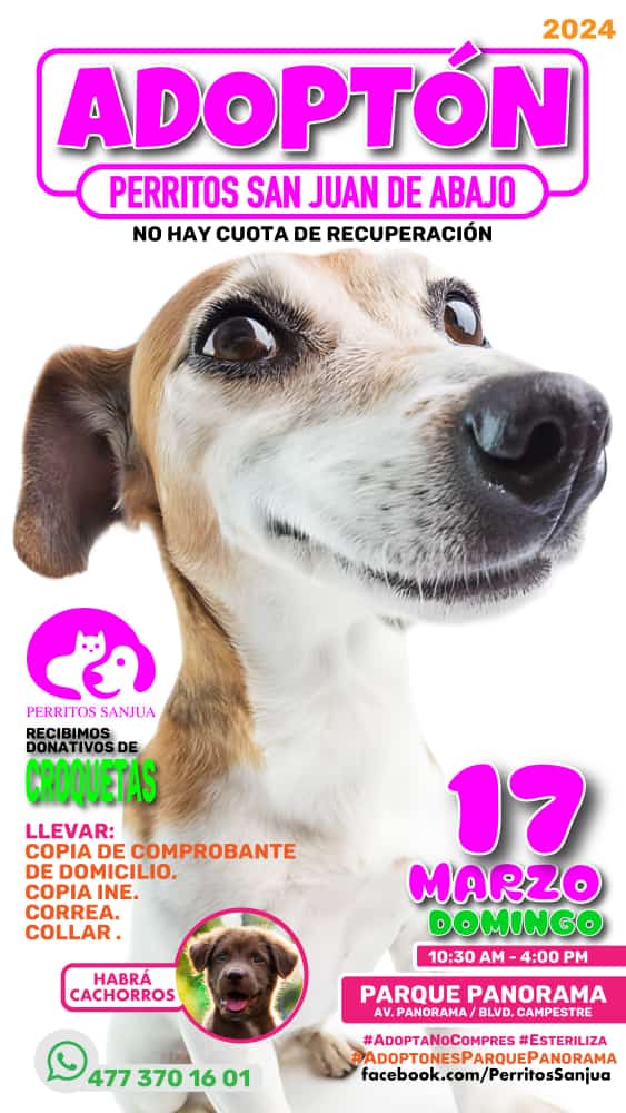 Atención gente de #León #Guanajuato apoyemos el adoptón de los perritos de San Juan de Abajo este 17 de Marzo a partir de las 10:30 en Parque Panorama podemos cambiar la vida de un peludito brindandole un hogar. No olvides los requisitos anotados en cartel. #AdoptaNoCompres