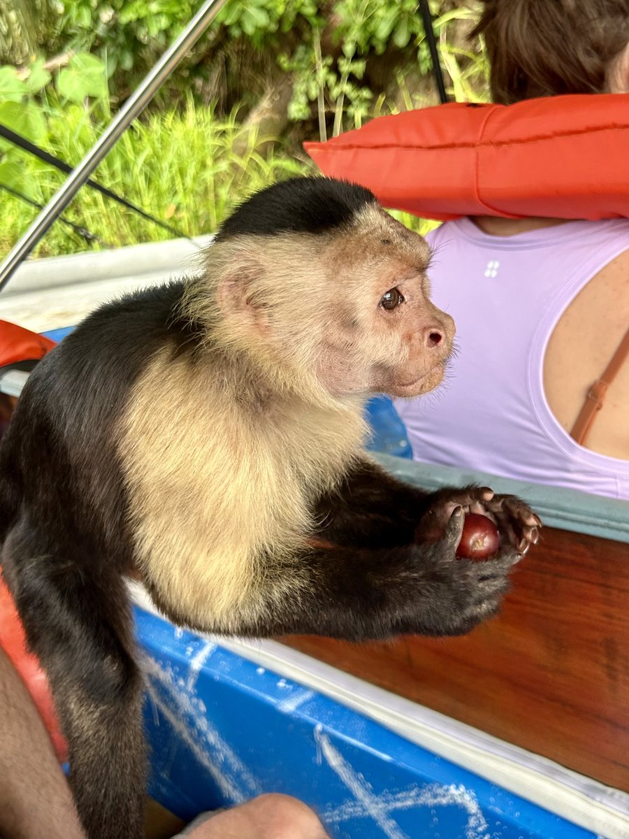 KLSatowski's tweet photo. Sometimes you make new friends on vacation https://t.co/1TGPWUMxMW