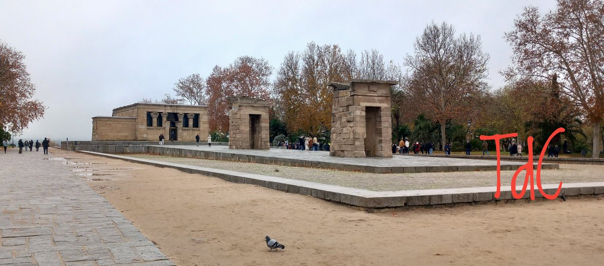 Tablilla de cera tweet media