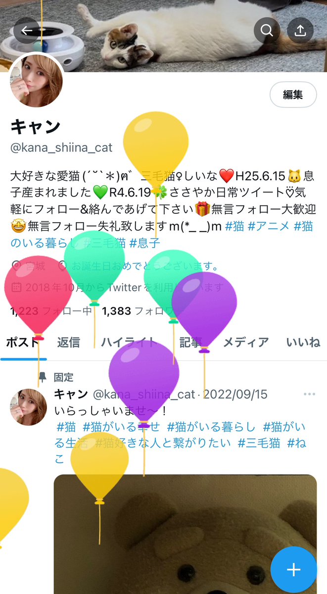 キャン tweet media