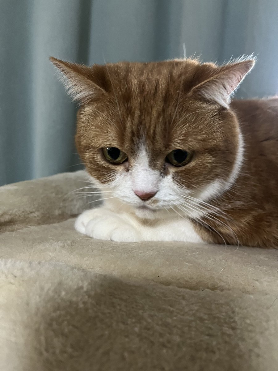 おはようございます☀

今日は金曜日。
もう少しだけ頑張ります☺️
メルさん、急いで帰るからね🥰