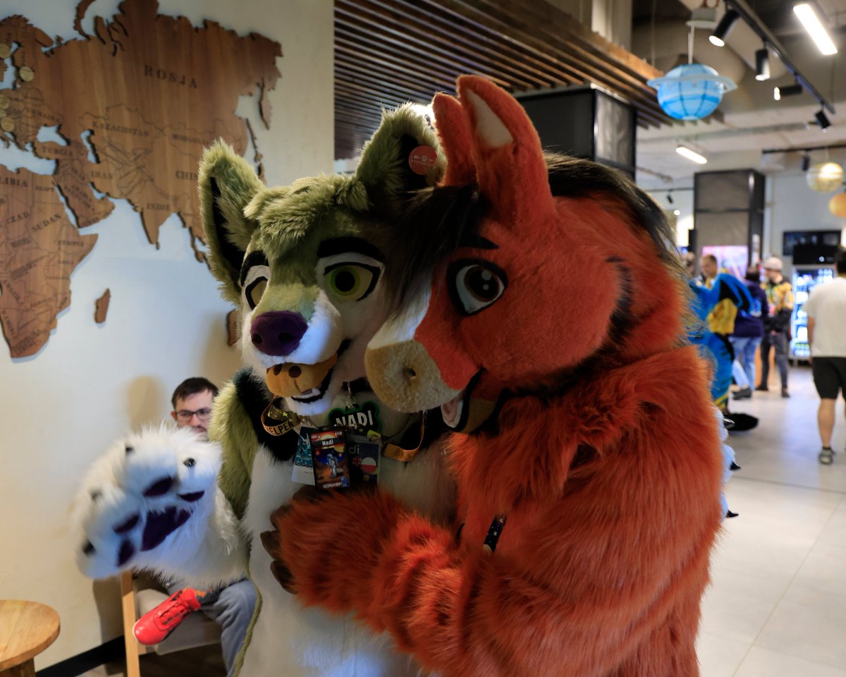 *slaps floof of wolf*
This bad boy can fit so many cookies in it!

With <a href="/nadamefloof/">N a d i 🍪 (@nadamefloof.bsky.social)</a> at #Gdakon
📷: <a href="/DerooShep/">Deroo</a> 

#Gdakon2024 #fursuit