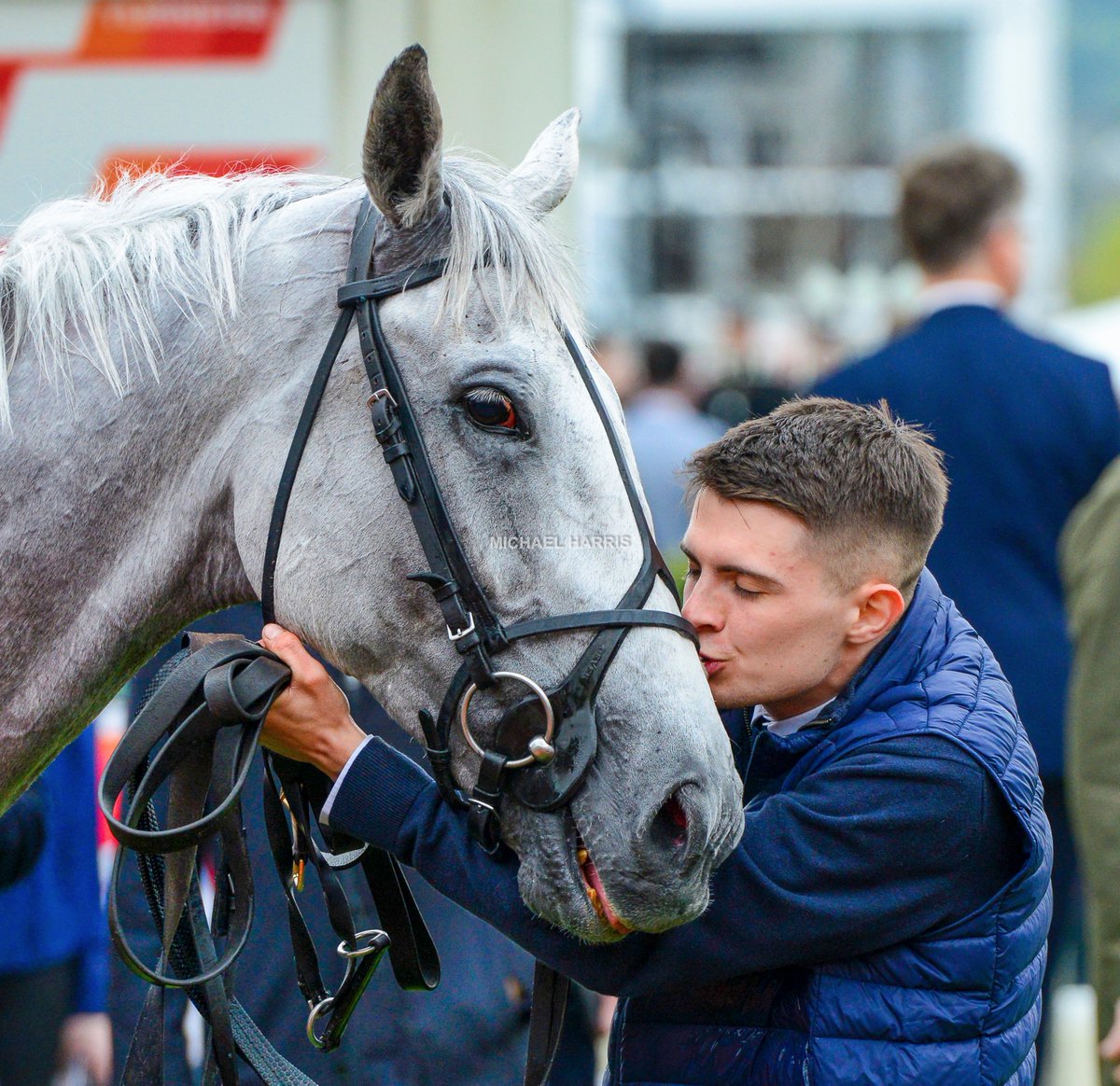 Michael Harris tweet media