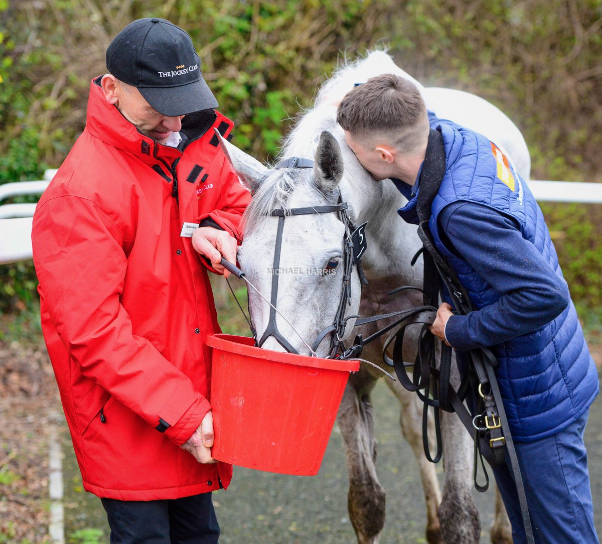 Here's a lad who loves his horse. Matthew and Grey Dawning.