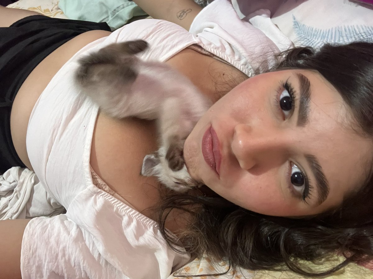 Mellsitapp tweet media