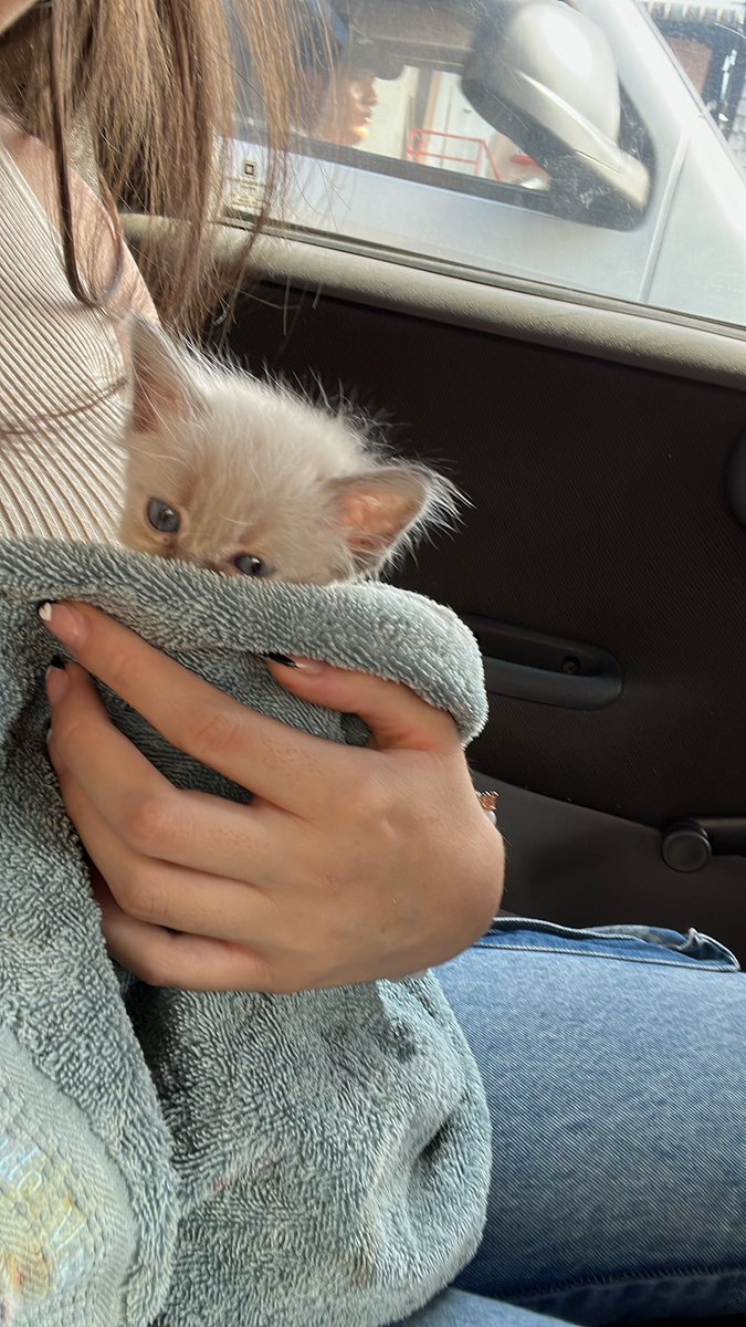 Mellsitapp tweet media