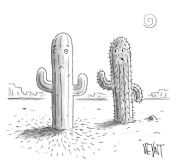 The Panel's winners for New Yorker Cartoon Caption Contest #888: 1. 'Now that you're spineless, you should consider running for public office.' 2. 'What do you mean 'sneak up on you'? I've been here fifty years.' 3. 'At least it's a dry bald.' #newyorkercartoons #CaptionContest