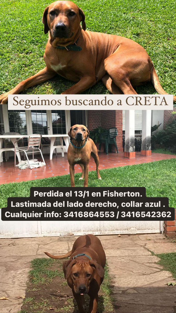 RosarioLaCiudad tweet media