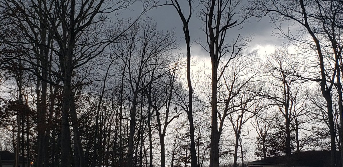 Grassyknoller's tweet photo. @SteveTempleton @KMOV Innsbrook earlier https://t.co/ZrBt7rIuTD