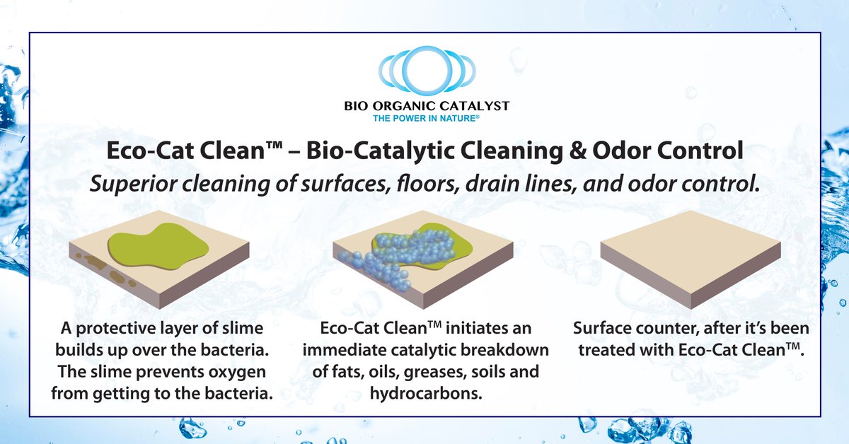BioCata's tweet image. Get your facility sparkly clean and odor free! Eco-Cat Clean dissolves the organic residues and biological films that can produce odors in drains, floors, garbage containers, and food preparation areas. Info: bio-organic.com/eco-cat-clean/

#biocatalyst #neutralizeodors #cleanfacility