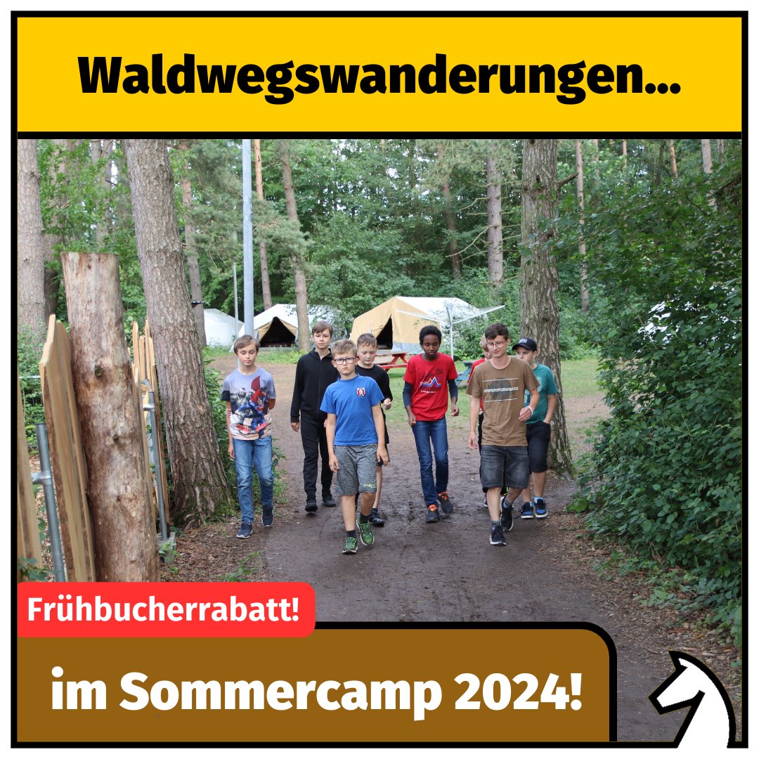 Waldwegswanderungen im Sommercamp 2024! Bist du auch dabei?
Frühbucherrabatt bis zum 31.03. sichern:
deutsche-schachjugend.de/termine/2024/s…
#dsjsommercamp #schach