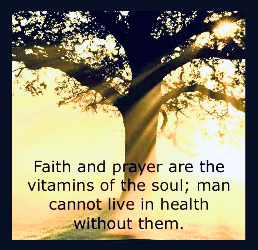 I take Vitamin D3 as well, sun shining days are my precious Vitamin moments and with Calcium, B12 and Multi Vitamins, help my precious bones and body. #VitaminD #Faith #Prayer #health #healthyliving #HealthyEating #healthylifestyle #JesusisGod #PraiseJesus