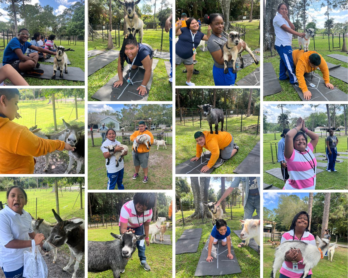 LWMSWarriors's tweet photo. G.O.A.T. stands for Greatest of All Time &amp; that’s what students in Ms. Carr’s class are! Today they took a field trip &amp; visited  @GroovyGoatFarm for some goat yoga 🐐 🧘🏻‍♀️ #Namaste @CaelethiaTaylor @AP_Makowski https://t.co/3G7DJ3VGnd