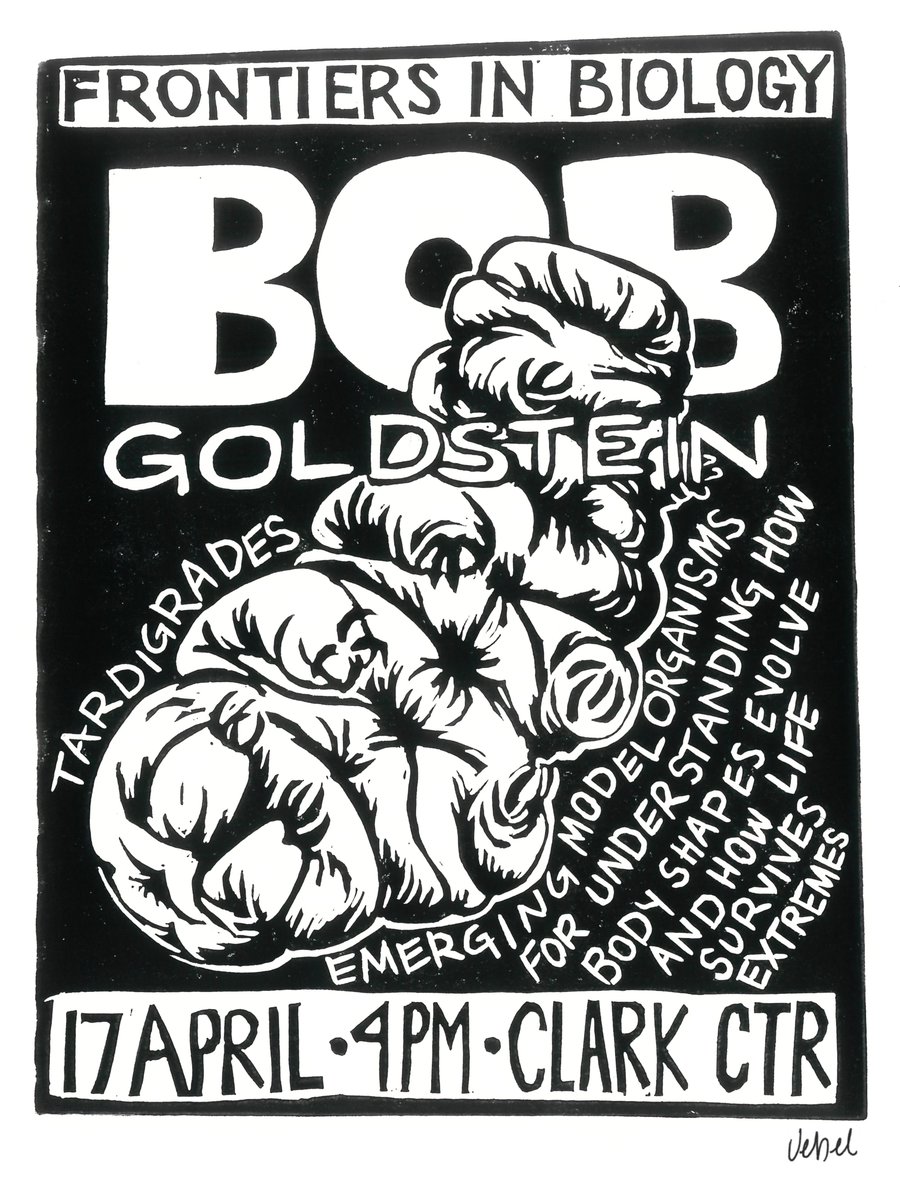Bob Goldstein makes gig posters for scientists invited to give seminars at UNC... I thought it was high time that someone made a gig poster for Bob! So I invited him to  <a href="/DevBioStanford/">Dev Bio @ Stanford</a>'s "Frontiers in Biology" and made this block print for his talk about Tardigrades: