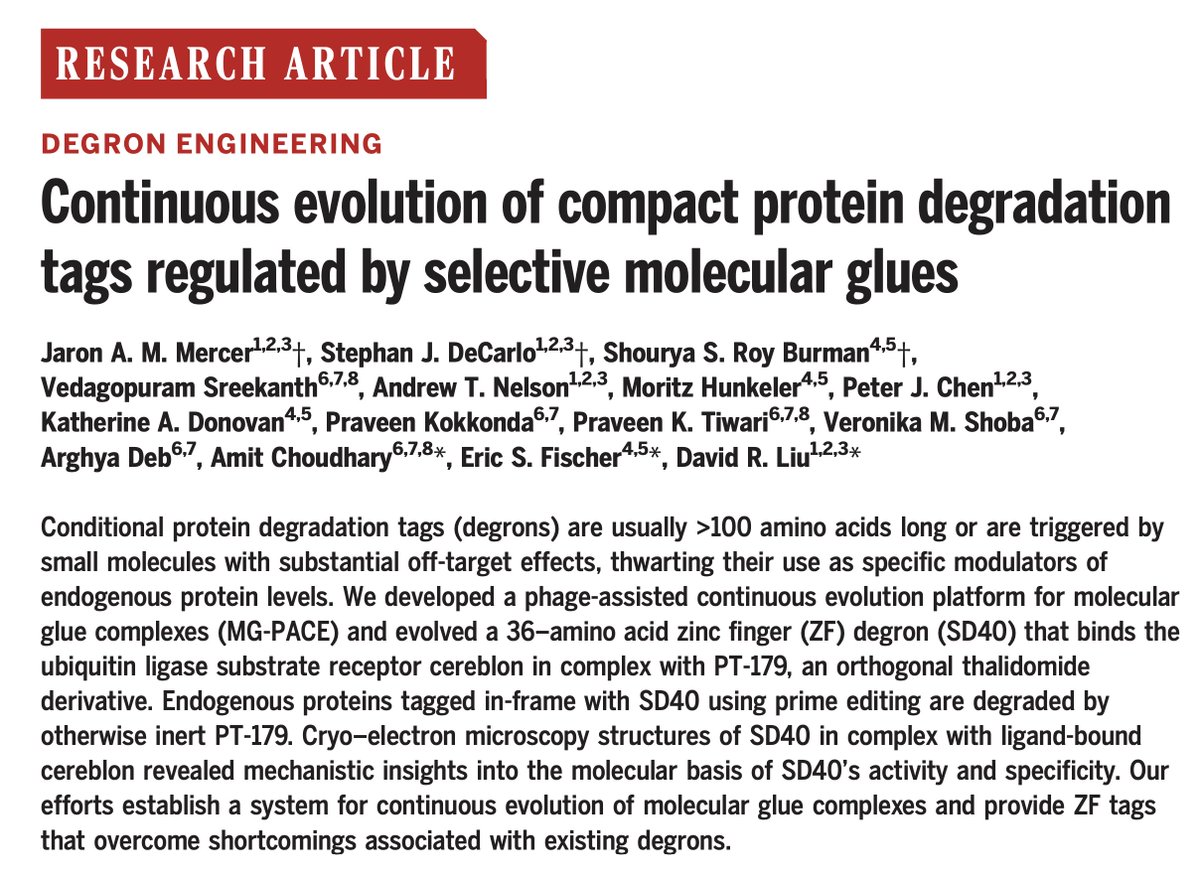 Today in @Science_Magazine we report the laboratory evolution of compact degrons that enable targeted protein degradation triggered by an otherwise-inert small molecule, a multidisciplinary study that integrates organic chemistry, molecular glues, protein evolution, genome…