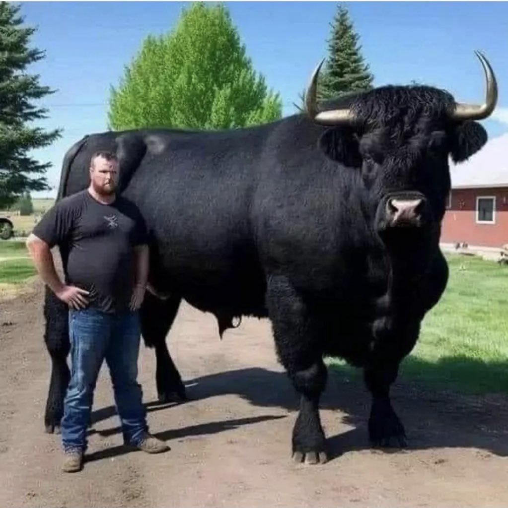Me and the boys in <a href="/WealthGroup_/">Old account</a> right now on every dip.