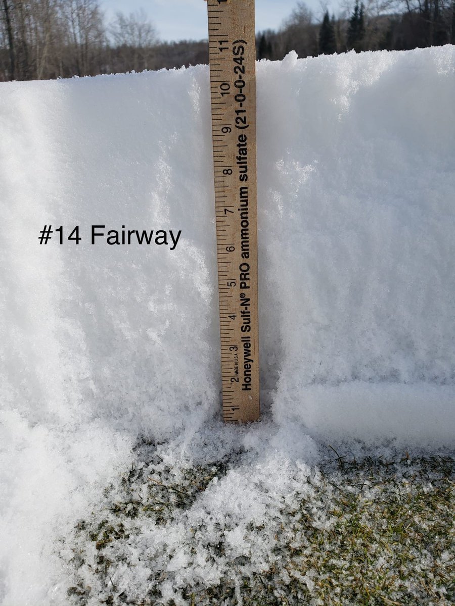 Windermere Golf & Country Club tweet media