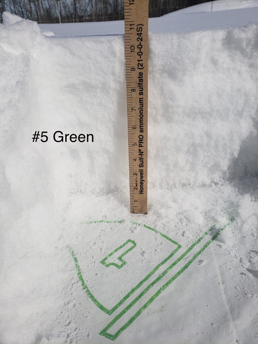 Windermere Golf & Country Club tweet media