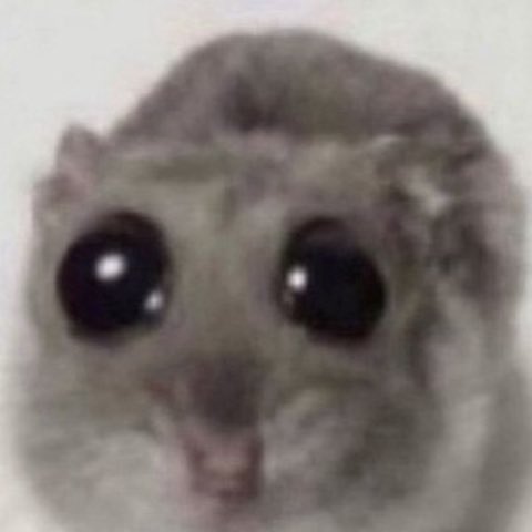 𝕜𝕒𝕪𝕠𝕣𝕚☺︎︎ tweet media