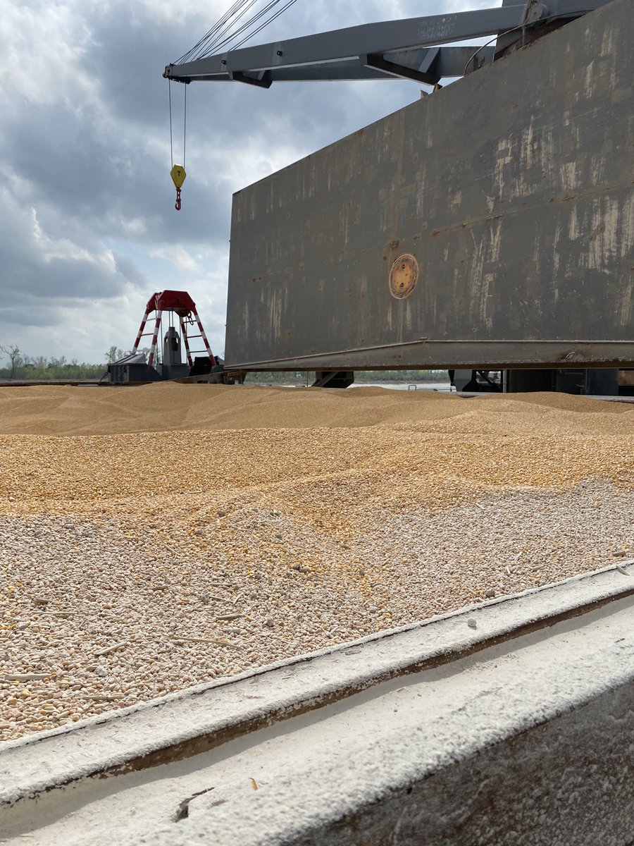 jcaupert's tweet photo. To all my fellow #Corn π½ farmers, this ship is fully loaded with 2 million bushels and about to depart New Orleans, arriving 40 days later in Japan!
#Agriculture #Grain #GEAPS #NCGA
#Feed and #Fuel the world!
@GEAPSinfo @NationalCorn https://t.co/KzrwP1MOvw