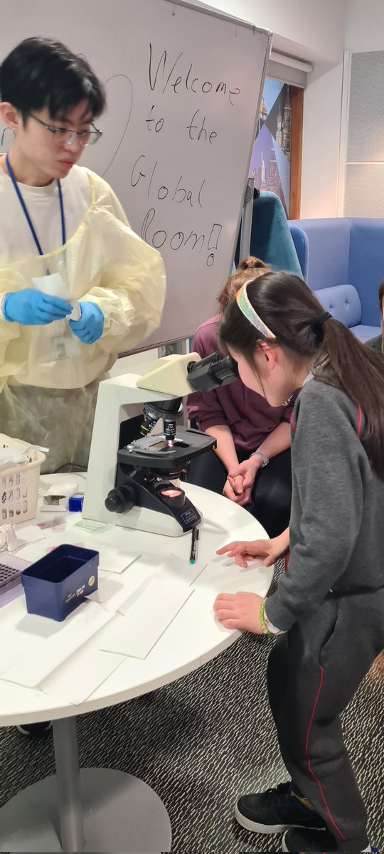 gaz_moran's tweet image. We had a great day today exploring the oral microbiome and oral health with 5th class from Scoil Chaitríona CBS @scienceirel @hrbireland @DDUH12 @DentalSchoolTcd @DHF_Ireland #microbiome