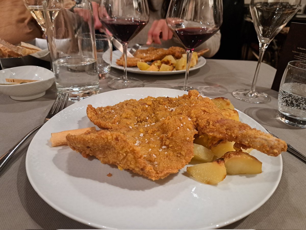 I'm sorry but this job is SUCH a privilege. You get invited to travel to a nice place like Milan, and spend the day talking about research and meeting super cool people. Oh, and then cotoletta. I mean, it doesn't get much better than this 🤩