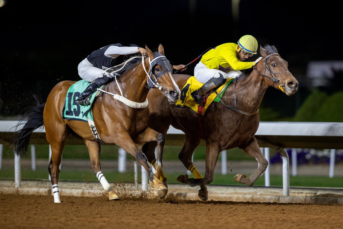 IPADDOX's tweet photo. - 📷 الشوط 10 الحفل 111
الخيل الرابحه (1-2) 4 سنوات وأكثر
 حصن وأفراس ( مستورد وإنتاج)
الجائزة/34.000 الف ريال

الفائز : كونسنيس دي فيقا( LOPE DE VEGA )
المالك :  اسطبل السفير 
المدرب :  عبدالله ابداح
الخيال :  خالد الميموني
المسافة : 1600م
الزمن : 1:39.33
#نادي_سباقات_الخيل 
#موسم_سباقات_الرياض 
#البادوك
