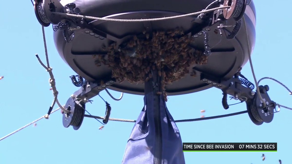 TennisChannel's tweet photo. UPDATE: Play suspended on Court 1 due to Bee Invasion. 🐝🚨

#TennisParadise https://t.co/iqq9T73kUn