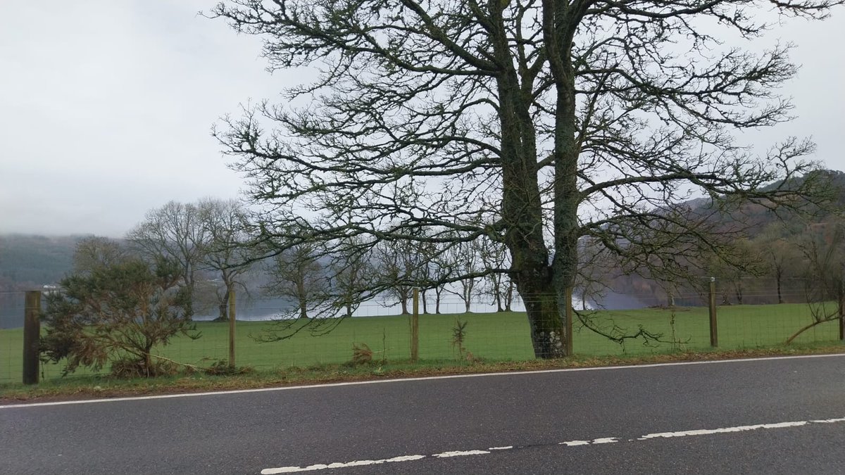 Excellent work trip to #Lochaber today discussing #careers in #carehomes with #socialcare colleagues! Even managed to join a virtual @scottishcare call from a lay-by on the edge of #LochNess! 🤩
 
#caretocare #careforacareer #Highlands #FortWilliam #Ballachullish #Glencoe