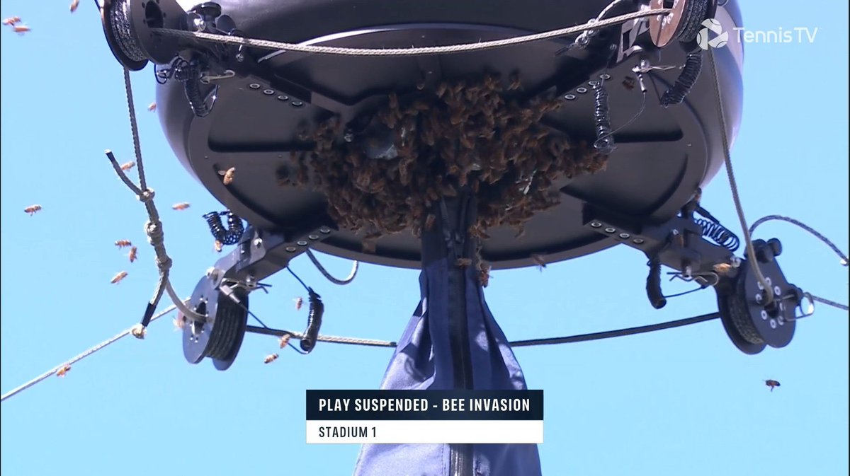 mattracquet's tweet photo. tennis has strayed too far from god. The plagues have started https://t.co/SUxMfmv37d
