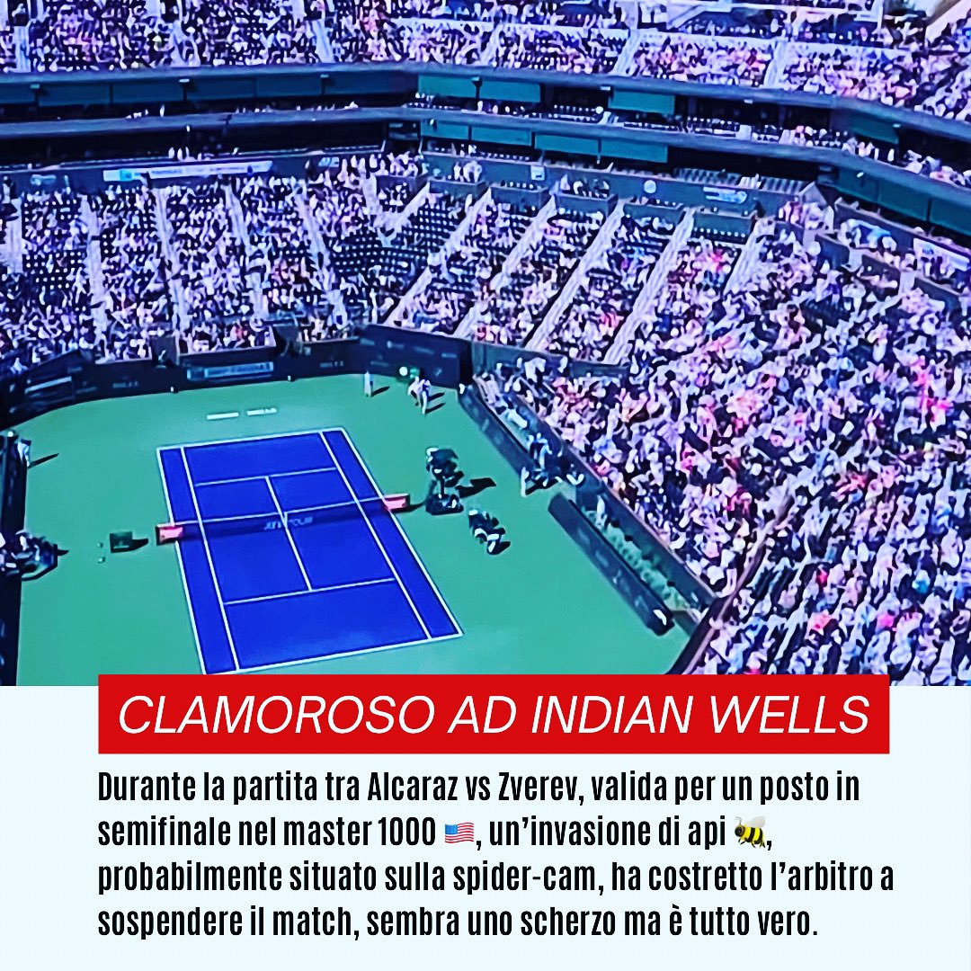 Baseline_Talk's tweet photo. Invasione di api 🐝 ad Indian Wells, clamoroso 😅🤣. Partita tra Alcaraz vs Zverev sospesa. #indianwells #beeindianwells #alcarazvszverev https://t.co/nPxWKAD5tV