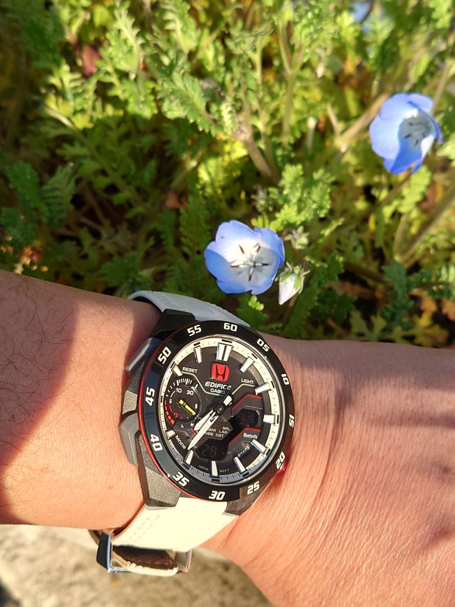 shinkoro1000rr's tweet image. おはようございます☀
今日は暖かくなりそう😁
でも花粉が😱😱😱
カーボンケースのCASIO EDIFICE HONDA TypeRモデルで外の空気吸ってました😅
遅く戻ったのでフラフラです🤣🤣🤣
#CASIOEDIFICE