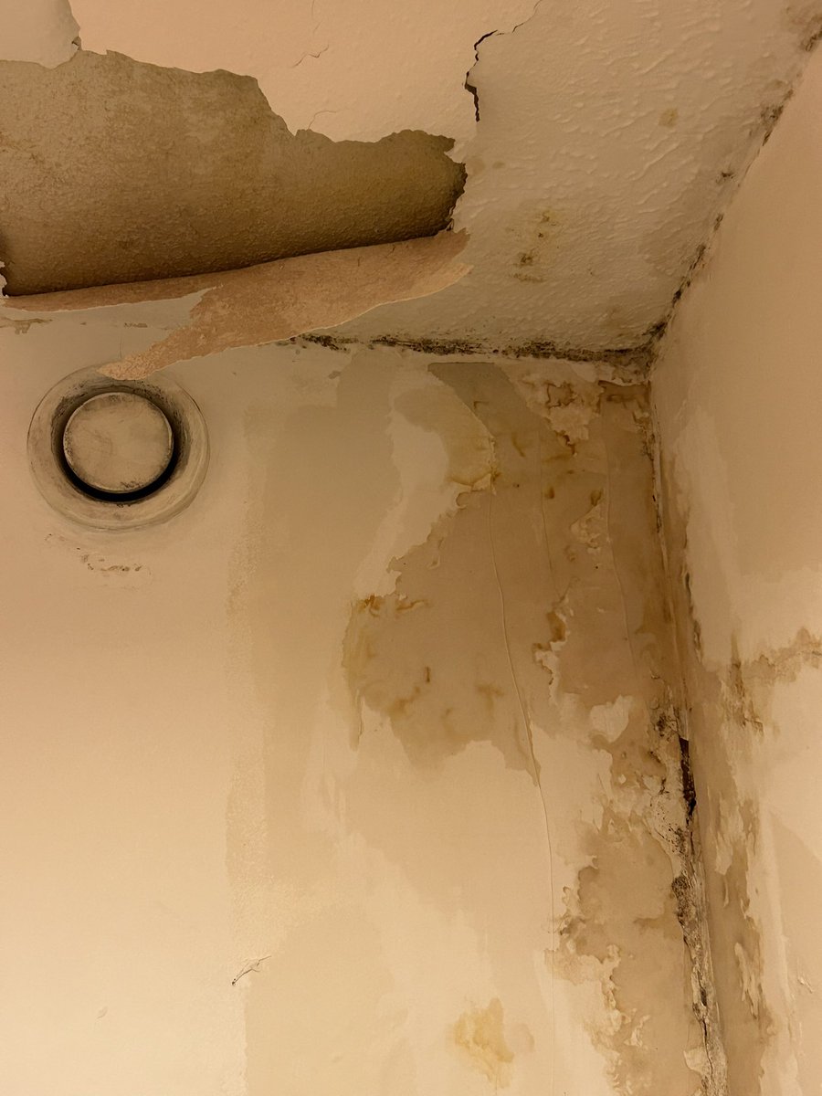 clairerob34's tweet photo. @HousingOmbuds @ClarionSupport 7 years of complaining, many mould washes and endless scrubbing and you still refuse to acknowledge a problem with this property. Children with chest infections and Mum with asthma in Orpington. Absolutely appalling. https://t.co/MI0QgtJJk9