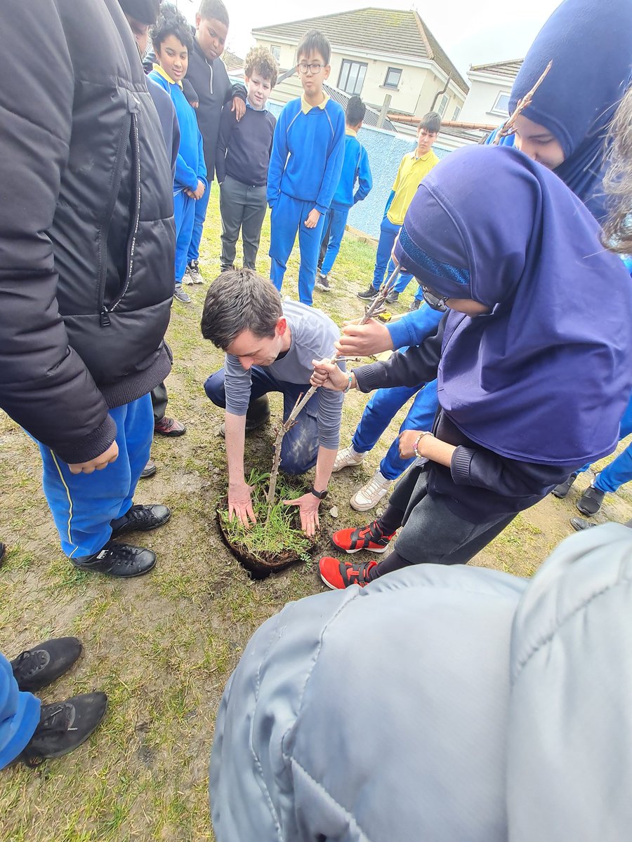 NDMNS's tweet photo. Both 6th classes planted a beautiful horse chestnut tree this afternoon in our new sensory garden. Just like the senior students, it will flourish and grow over the years 🌱 Thanks to Mr. Walsh for helping us plant it @coilltenews @TreeCouncil 🌳 https://t.co/jIMIEm1yoH