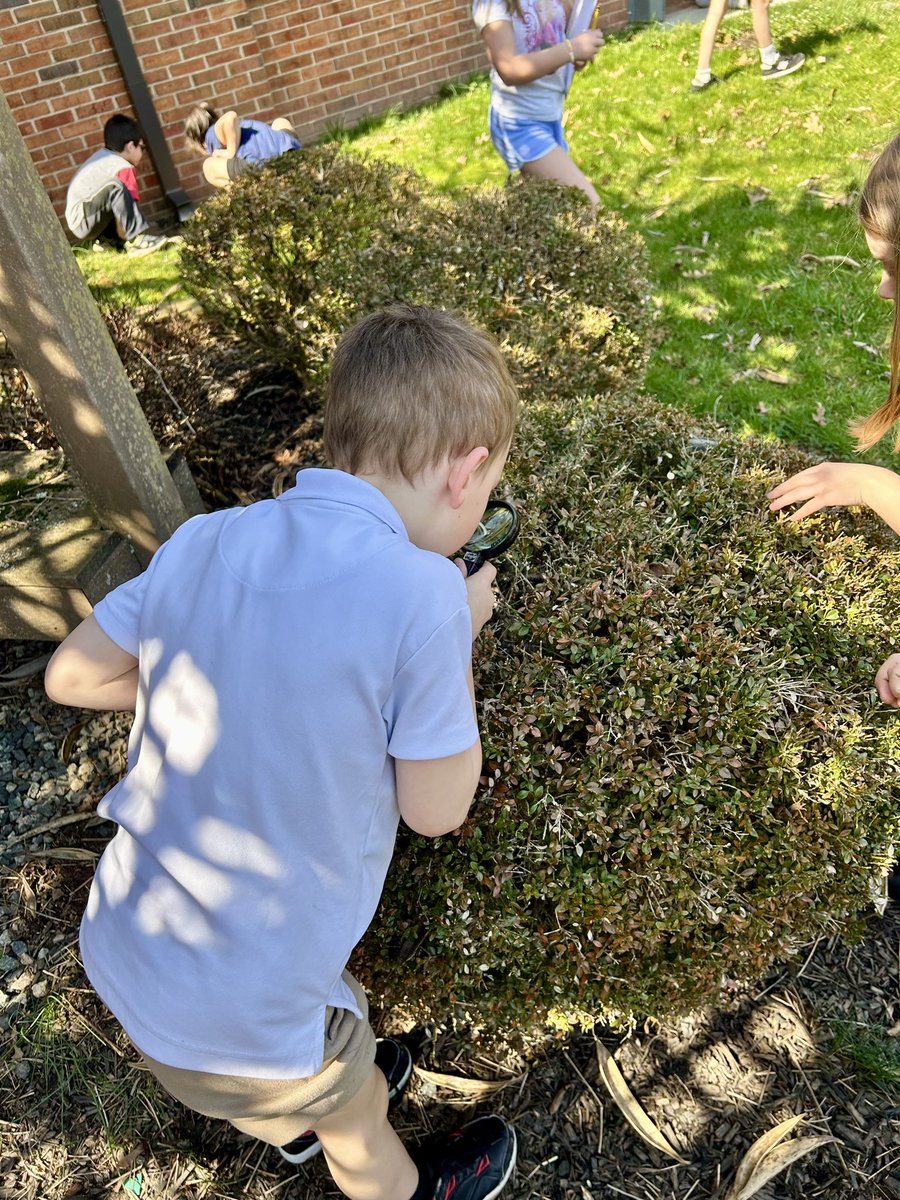 Ms. Edelsberg tweet media