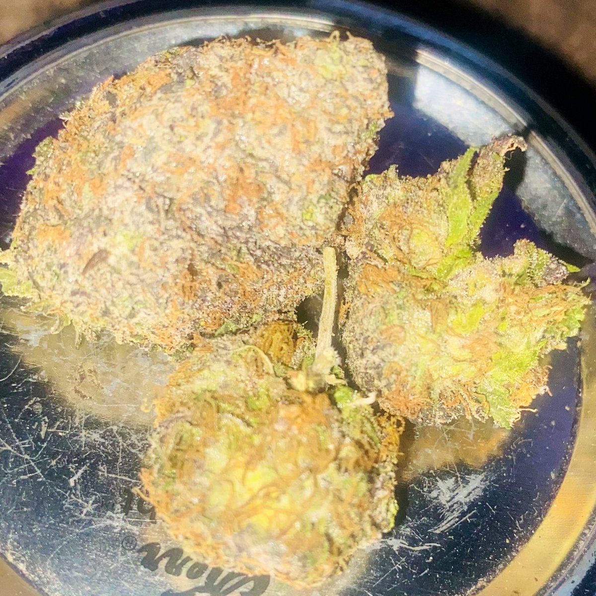 ZaddyMack's tweet photo. Time for a smoke break😎
#RS11 #ZAZA #RAPPERWEED https://t.co/SieCqgBAhp