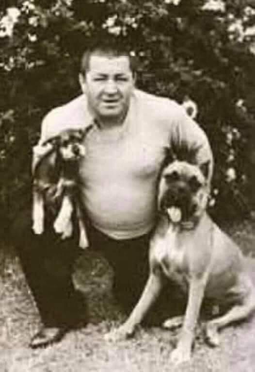 Dalbodog's tweet photo. Jerome Horwitz, famous for playing CURLY in "THE THREE STOOGES", was known to all as a protector of dogs. Curly's contract with Columbia Pictures included a clause that allowed his dogs to accompany him on the studio lot. Columbia limited it to no more than two dogs at a time, this due to the puppies' unplanned on-camera appearances from time to time. You can still see those surprise dog on set invasions in the first few short films. Typically surrounded by various dogs, Curly was known to come home with a stray dog ​​and foster it until he could find it a permanent home. When the Stooges were out on the road, Curly took it upon himself to find a new home for at least one stray dog ​​in every town they visited. Curly is estimated to have saved and rescued more than 5,000 dogs in his lifetime. This makes him a man ahead of his time, with a very admirable concern for man's best friend.