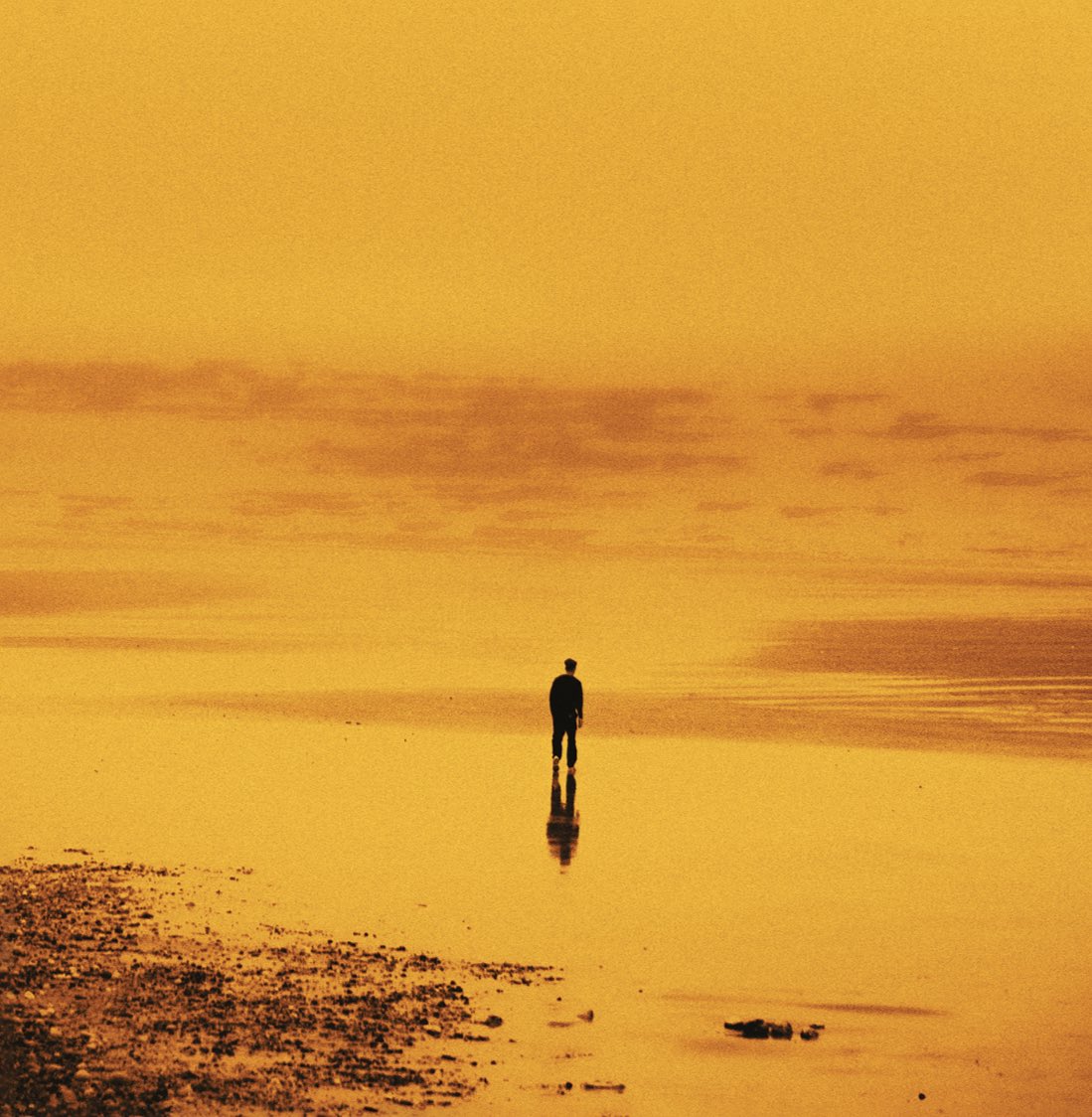 BekarNFR's tweet image. « Plus fort » nouveau projet disponible 
Merci à tous pour la force, hâte de lire vos retours 

panenkamusic.lnk.to/Bekar-Plus-fort