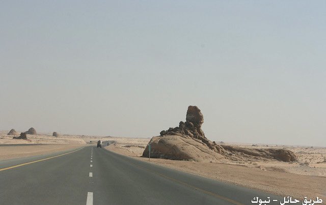 abdulkarim_900's tweet photo. قبل اربع سنوات سافرت تبوك بالسيارة قاصد شباب طالعين للصيد في (قيال) قرب تبوك. جلست ٥ ايام وفي طريق العودة وعند خروجي من تبوك باتجاه تيماء، رافقني طول الطريق جمس صالون يقوده شاب عمره ١٨ سنة تقريباً، مع عائلته التي يبدو أن عددهم كبير، توقفت في محطة قرب تيماء وتوقف معي الشاب، دخلت السوبرماركت ودخل ومعه اثنيين من اخوانه، اعمارهم مابين ١٢ الى ١٥ سنة، سلم علي وقال أنت رايح للقصيم، قلت نعم، قال مافيه مشكلة لو اعطيك بعض الاغراض تشيلها معك حتى نوصل القصيم؟
قلت وش الاغراض؟
قال كراتين برتقال وعنب، وتنك زيت زيتون.
كانت سيارتي BMW جديدة، قلت والله شنطة سيارتي فيها حافظتين فيهن طيور وثلج، واغراضي، ولا فيها مكان.
لكن ممكن يركب معي اخوانك مع شنطهم.
قال اجل بسأل أمي، وافقت الأم وركبوا معي الشباب ووضعت شنطهم في المرتبة الخلفية مع الولد الصغير.
نزلت الأم من السيارة وأتجهت نحوي، حتى توصيني على اولادها، وتعطيني بعض التعليمات المخيفة فعلاً..!!
قالت: تعرف الطريق؟
قلت: جيته قبل ٢٠ سنة وهذي المرة الثانية.
قالت: اجل أنتبه لا توقف لأحد ترى الطريق كله قطاع طرق..!!
والمنطقة الفلانية كلها جن أنتبه توقف اذا شفت أحد يأشر على الطريق…!!!
قلت: وكلي الله مافيه الا العافية أن شاء الله.
قالت: أنا اعرف الطريق من كان عمري ٢٠ سنة، ملوعني، ومشيب في راسي..!!
حركنا وصار الولد يسرع ١٤٠، ١٦٠ وأحياناً بتجاوزها الى ١٧٠ …!!
قلت: للولد اللي معي كلم اخوك لا يسرع معه خمس أنفس… السواق والام وثلاث بنات ومليان عفش، ولأني اعرف الجمس لو ظرب فيه كفر لا سمح الله.
اتصل عليه وكلمته أنا قلت لا تسرع مالها داعي كل هالسرعة..!!
قال: لازم نسرع الوالدة خايفة ومتوترة وما ترتاح حتى ندخل حائل…!!!
عاد يسولف علي الولد اللي معي يقول أمي من تبوك، وأبوي من القصيم، واول ماتزوج ابوي امي كانوا دائماً يسافرون مع هذا الطريق اذا راحوا لخوالي في تبوك وكم مرة يحصل لهم مواقف تخوف…. قلت وش مثله؟
قال: كم مرة يلحقون بهم ناس يبي يوقفونهم غصب، ومرة وقفهم شايب يوم وقفوا عنده شافوا رجله رجل حمار ..!!
الولد اللي راكب وراء روعني يشوف اشياء أنا ما شفتها..!!
يقول: تو شفت فوق الجبل هذا رجل عليه بشت اسود ومعه عنز…!!!
وقبل الشملي يقول شفت حرمة جالسة الحالها تحت شجرة..!!
وفي الأخير صرت اوسوس مثلهم وأشوف الشجر يمشي معنا، ماصدقت نوصل للقصيم والسبب الأم الله يذكرها بالخير