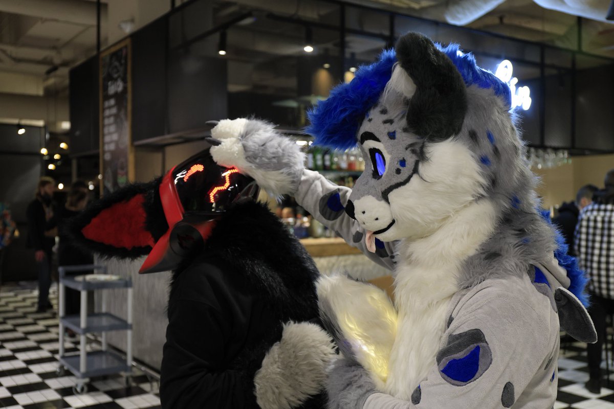 Boop! <a href="/Mowen_x/">Mowen</a>

#FursuitFriday #gdakon2024 
📷 <a href="/DerooShep/">Deroo</a>