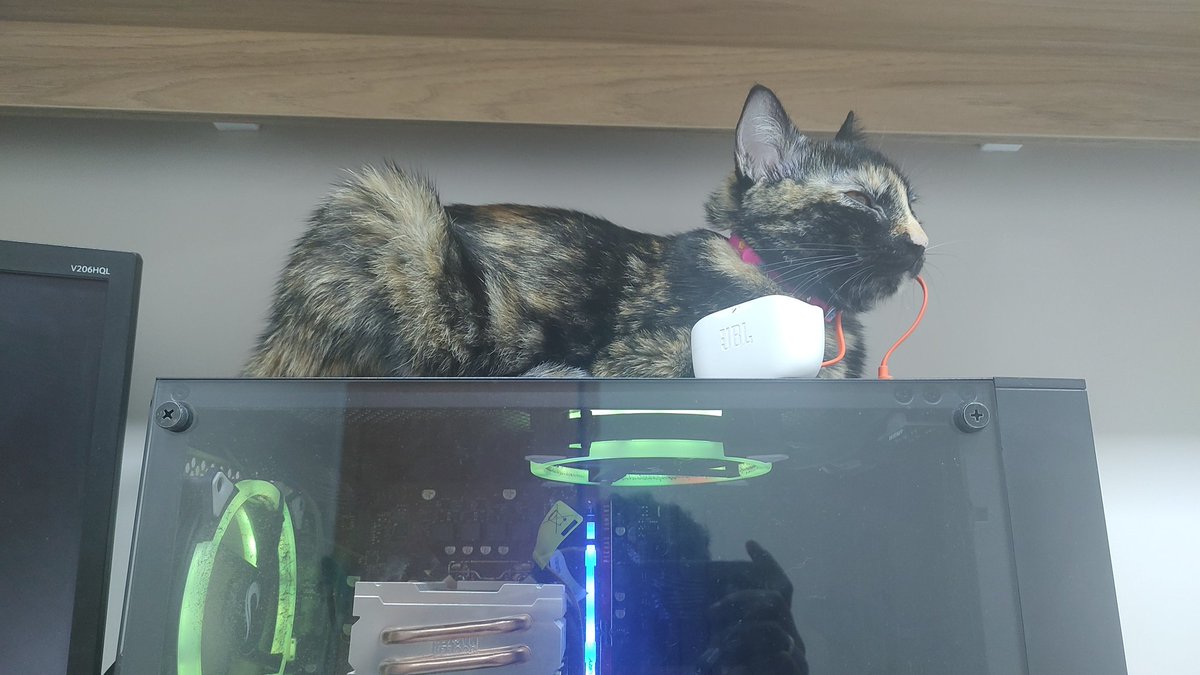 ablackout3's tweet photo. Essa noite teve reforço na crise 🐱 https://t.co/fMw5HQUK5H