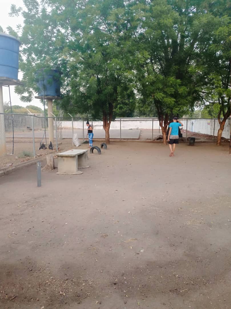CDCE_PGuardati's tweet photo. #AvanzandoPorVenezuela
Obreros del J.I Francisco Conde activos en la Institución desde el CDCE parroquia Guardatinajas del estado Guárico. @Nercyguere https://t.co/tf3QLmn0Ki