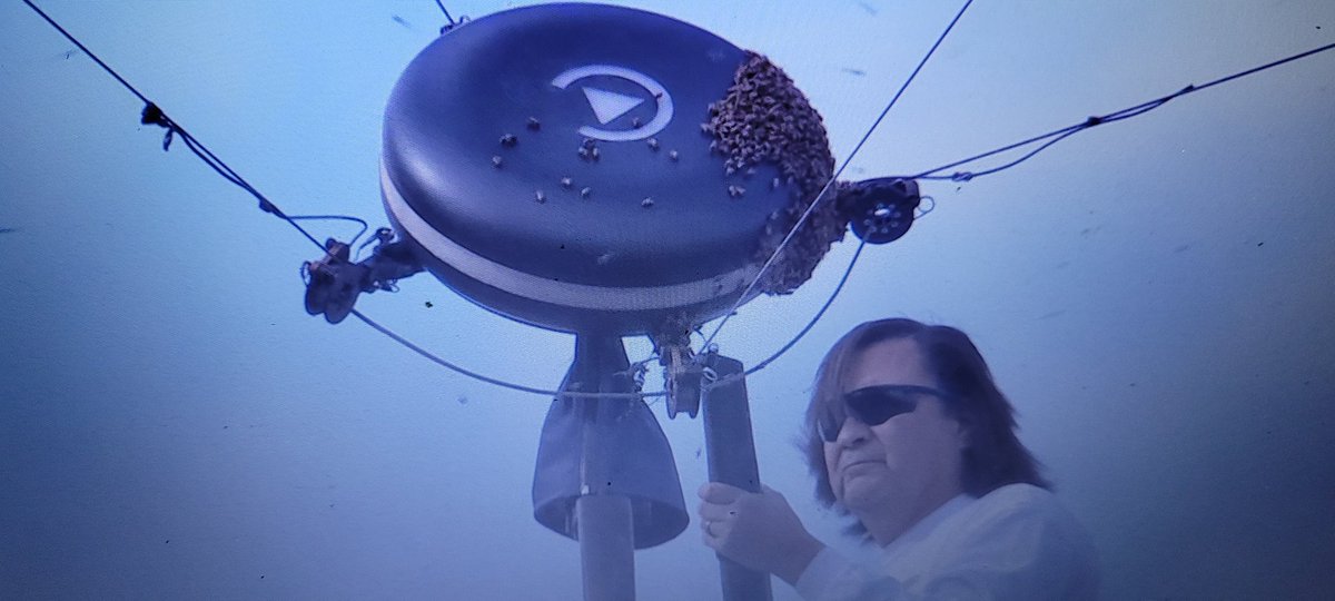 The Bee 🐝 rockstar 😎

#tennis #beeinvasion #indianawells #TennisParadise