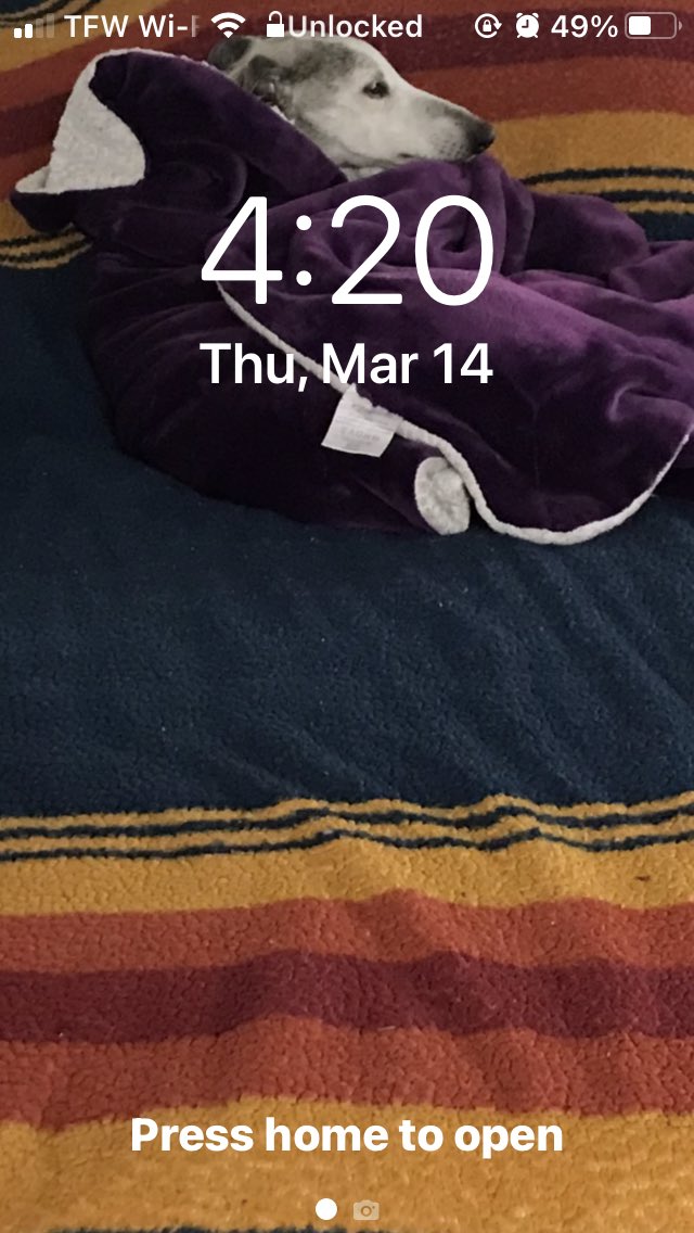 Jurassic Blueberries tweet media