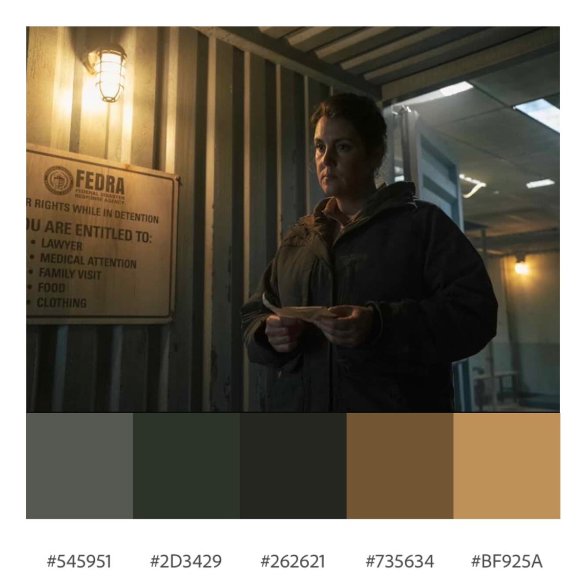 DauntlessGhoul's tweet photo. ✨Please Hold to My Hand - S1 E4 The Last of Us (Jeremy Webb, 2023)

#tv #shows #cinema #cinephile #cinematography #shots #aesthetic #streaming #theatre #art #artist #color #colorpalette #palette #colourpalette #photography #thelastofus #bellaramsey #pedropascal #gaming https://t.co/QXpMMe2Pdt