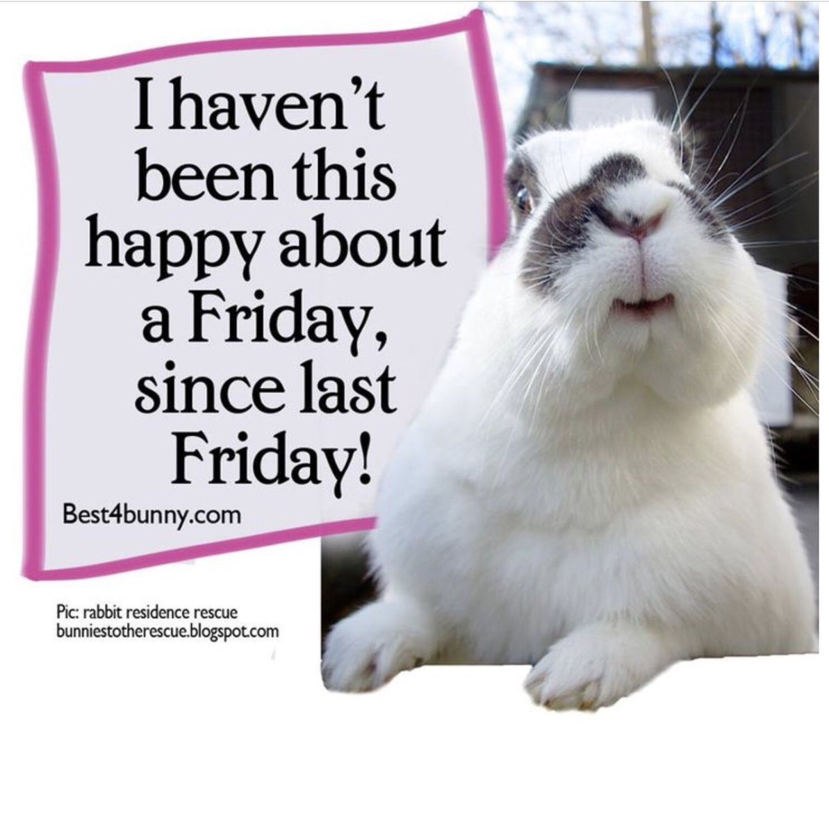 TGIF! (binkybunny.com thanks Best4bunny)