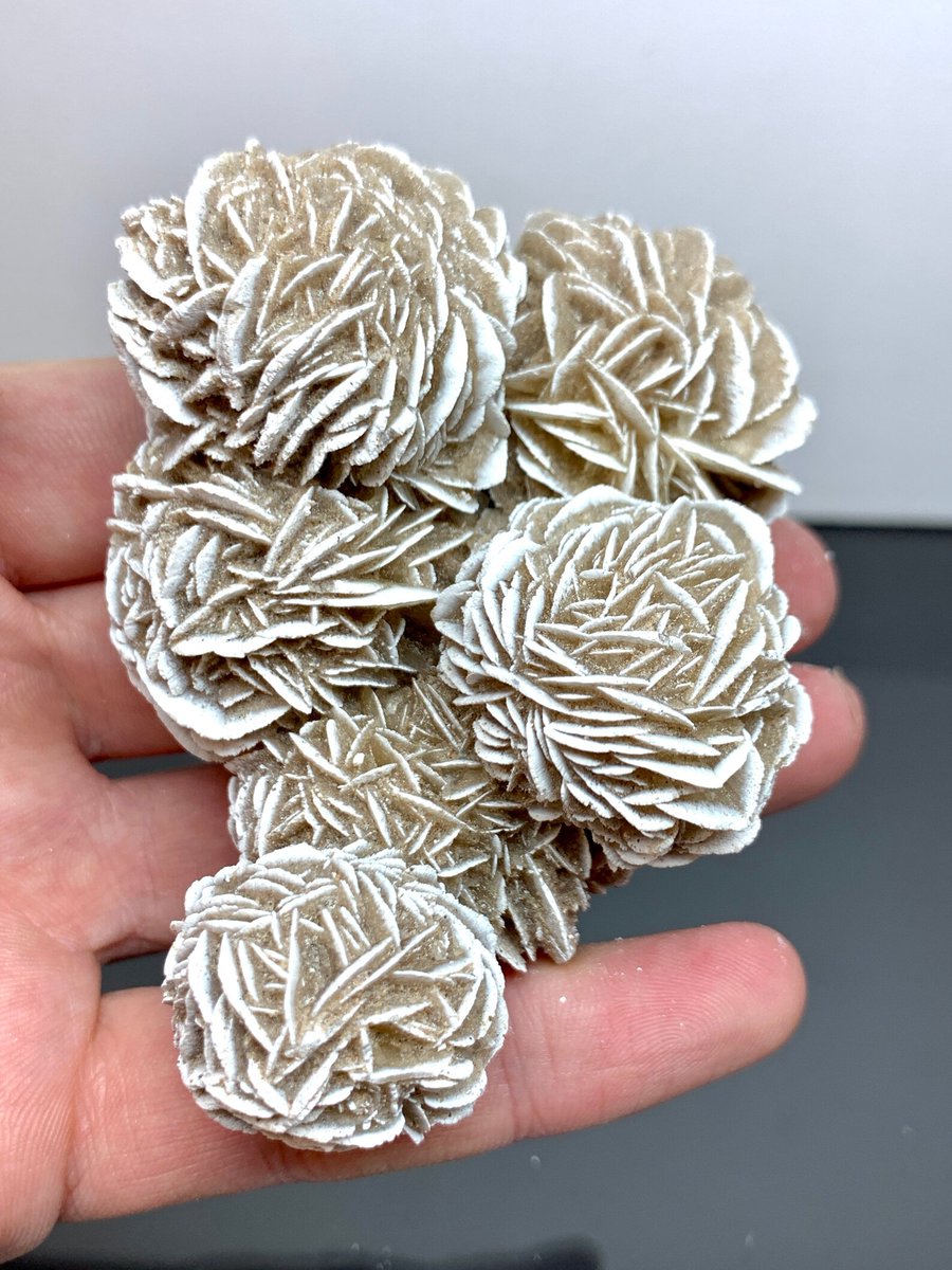 Gypsum Desert Rose || Samalayuca, Chihuahua, Mexico.
Photo:  TheGemstoneMatrix