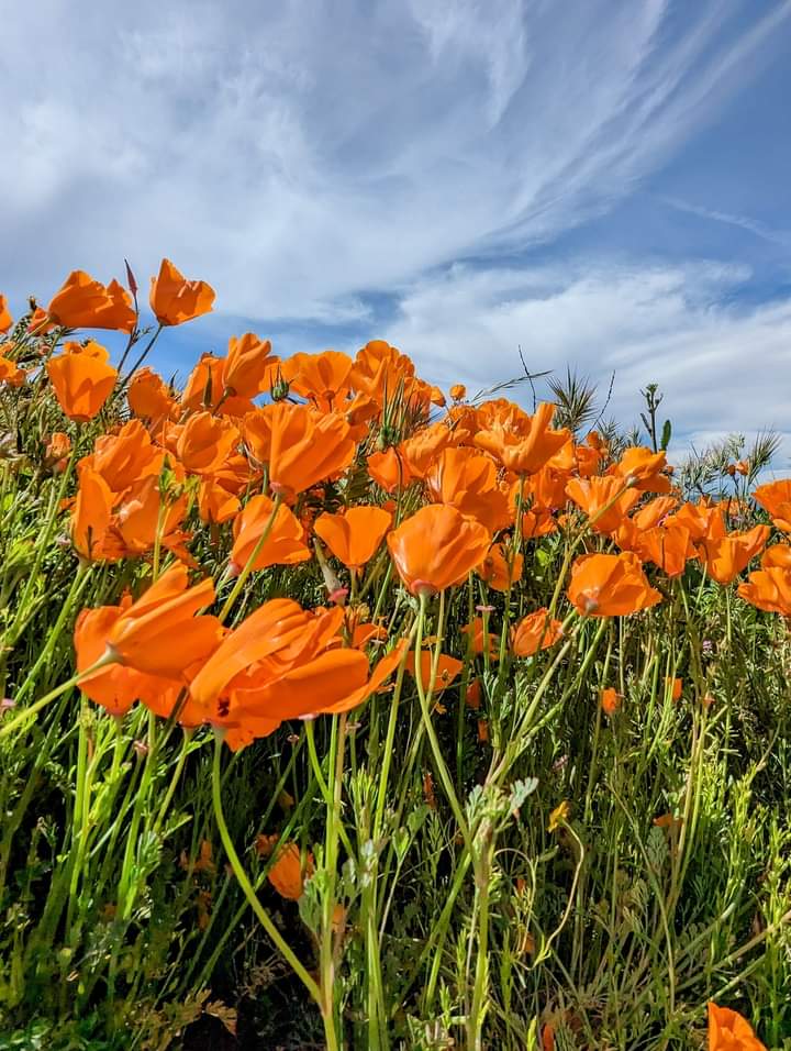 EnelraOtirolf's tweet photo. Wishing you Happy Friday! All the best!🧡🧡🧡 https://t.co/liuPrRYlCm