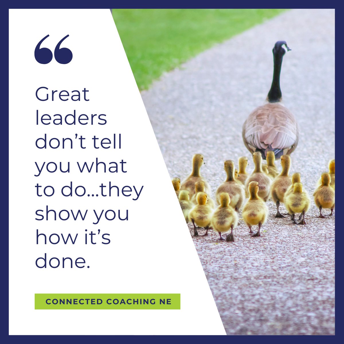 Connected Coaching NE tweet media